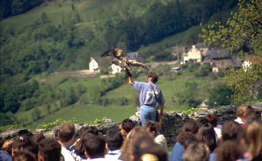 Tourisme-Donjon-Aigles